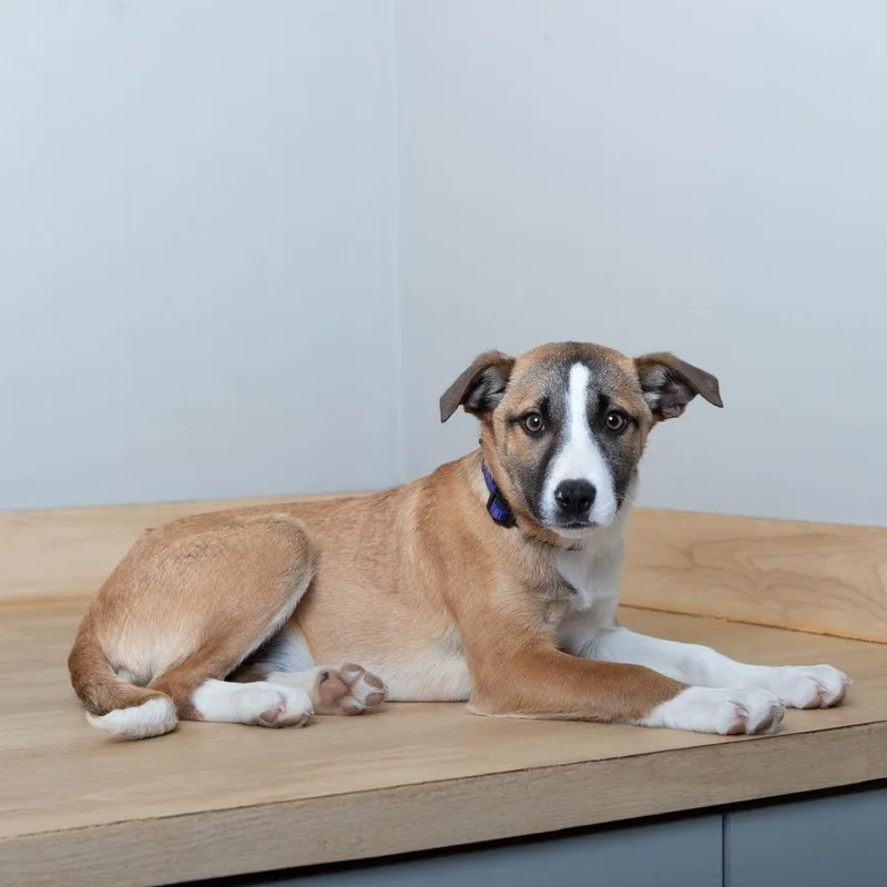 Winnie D thumbnail 2