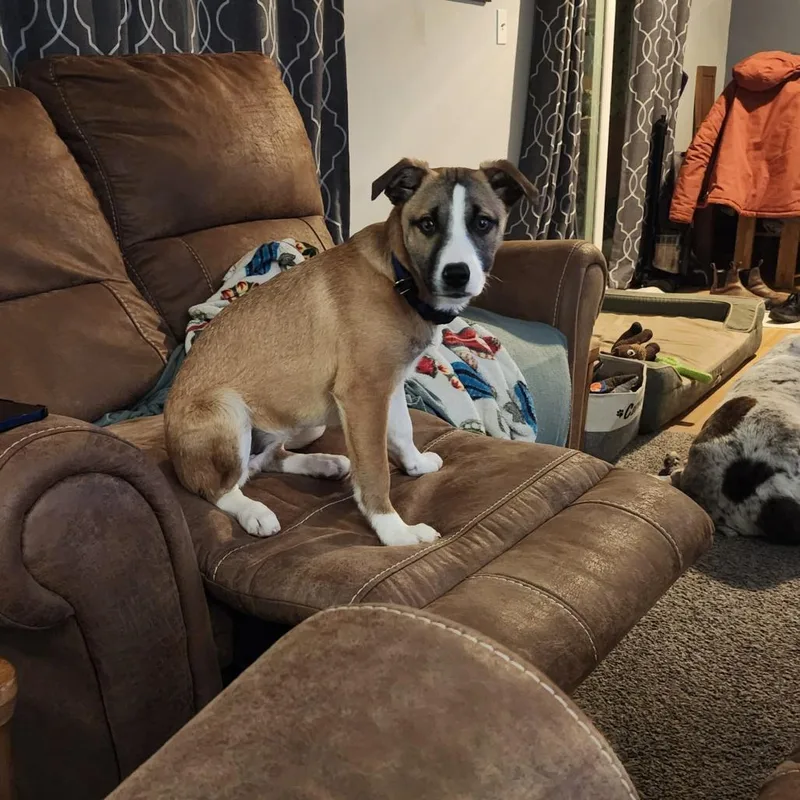 Winnie D thumbnail 3