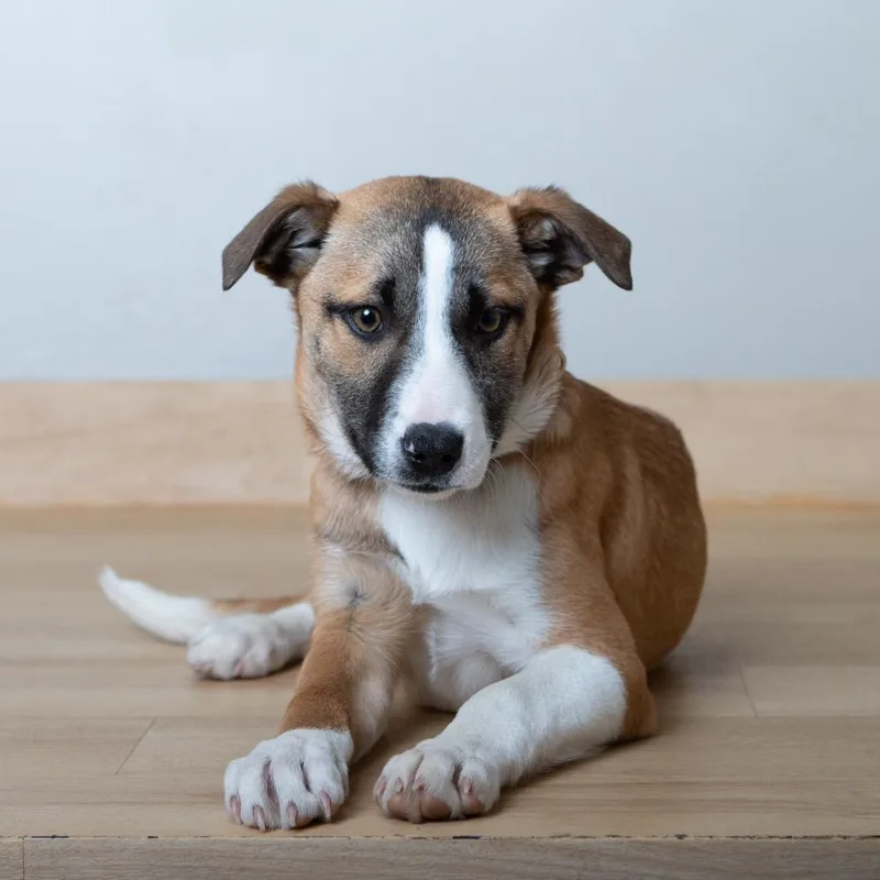 Winnie D thumbnail 4