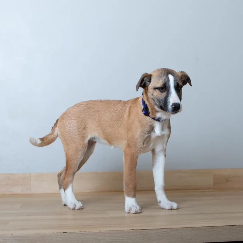 Winnie D thumbnail 5