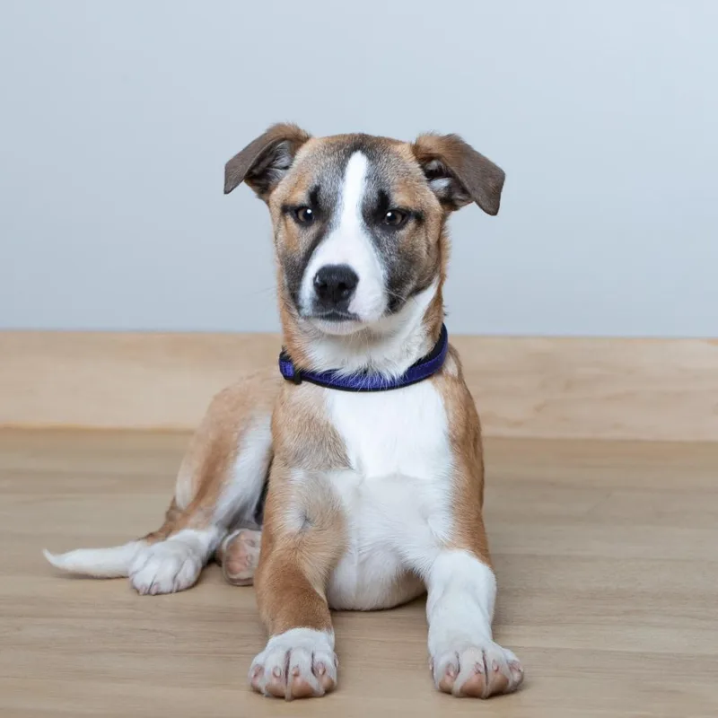 Winnie D thumbnail 6