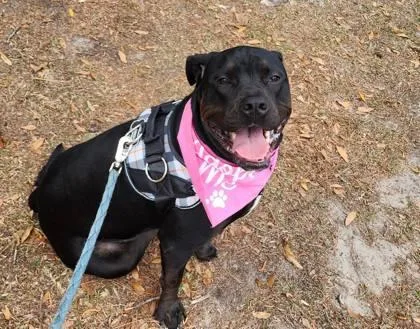 French Fry thumbnail 2