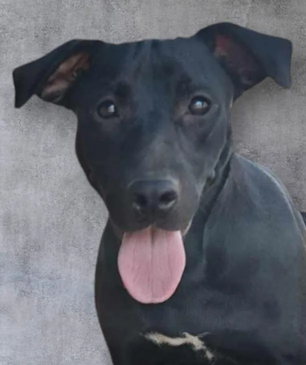 Liv Better thumbnail 2