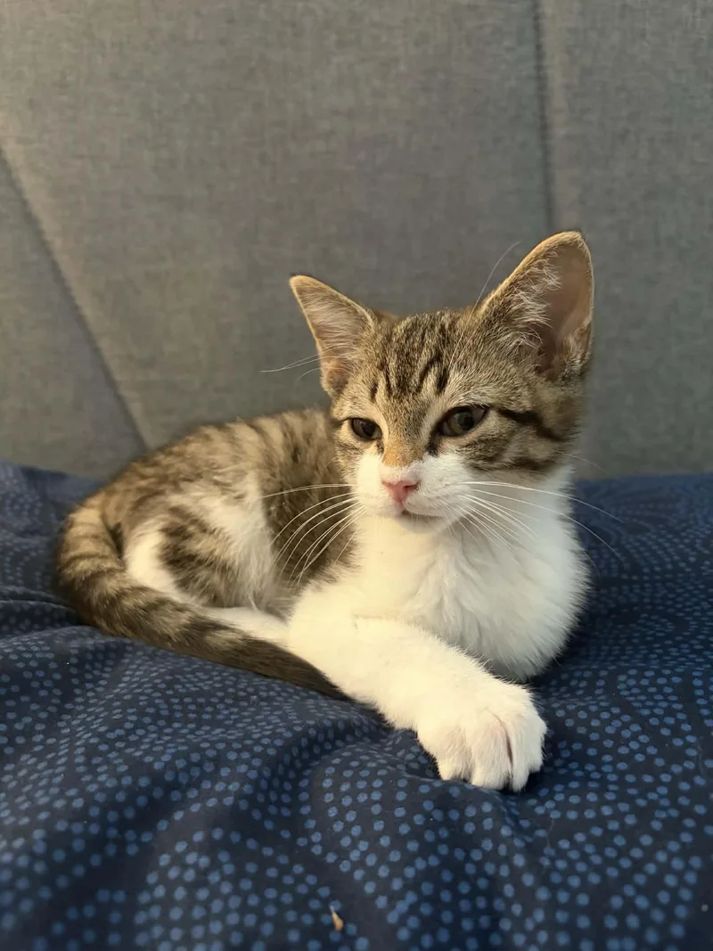 Matilda And Millie thumbnail 3