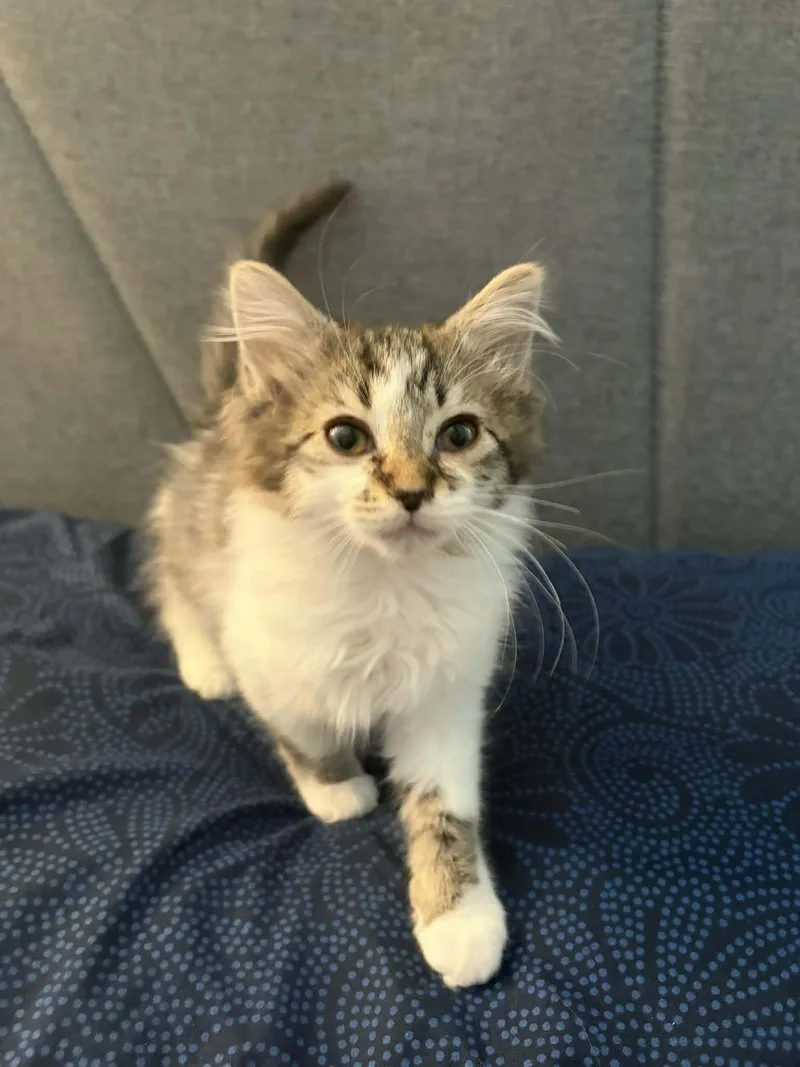 Matilda And Millie thumbnail 4