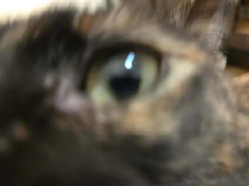 Mommy Mummy thumbnail 2
