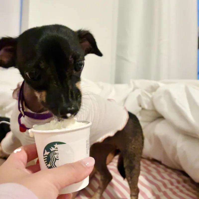 Riley thumbnail 5