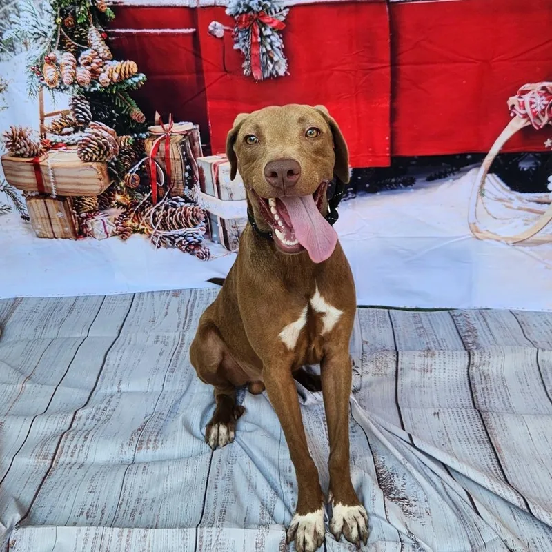 Tony Jum thumbnail 3