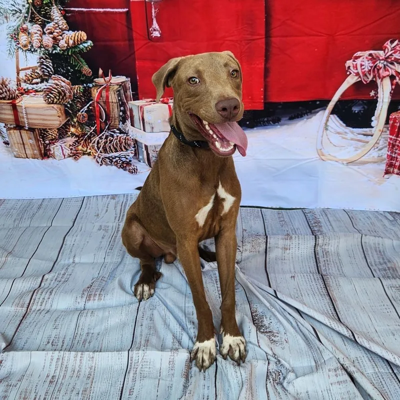 Tony Jum thumbnail 5