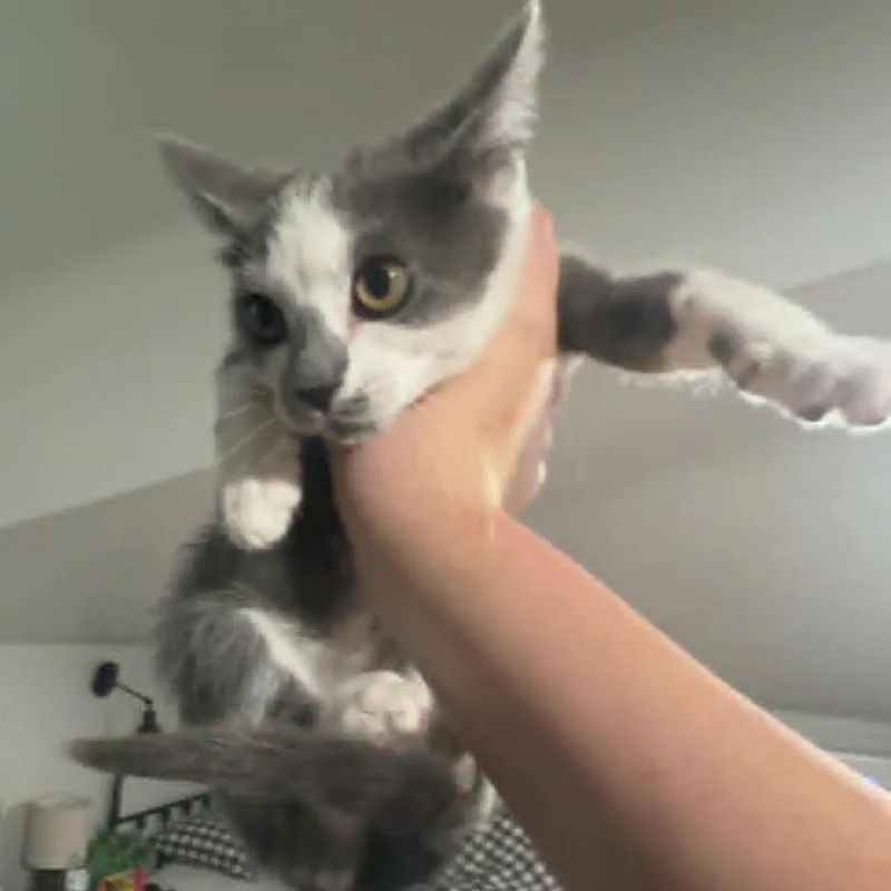 Cloudy thumbnail 3