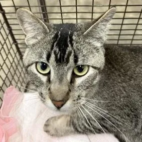 Dory at Petsmart