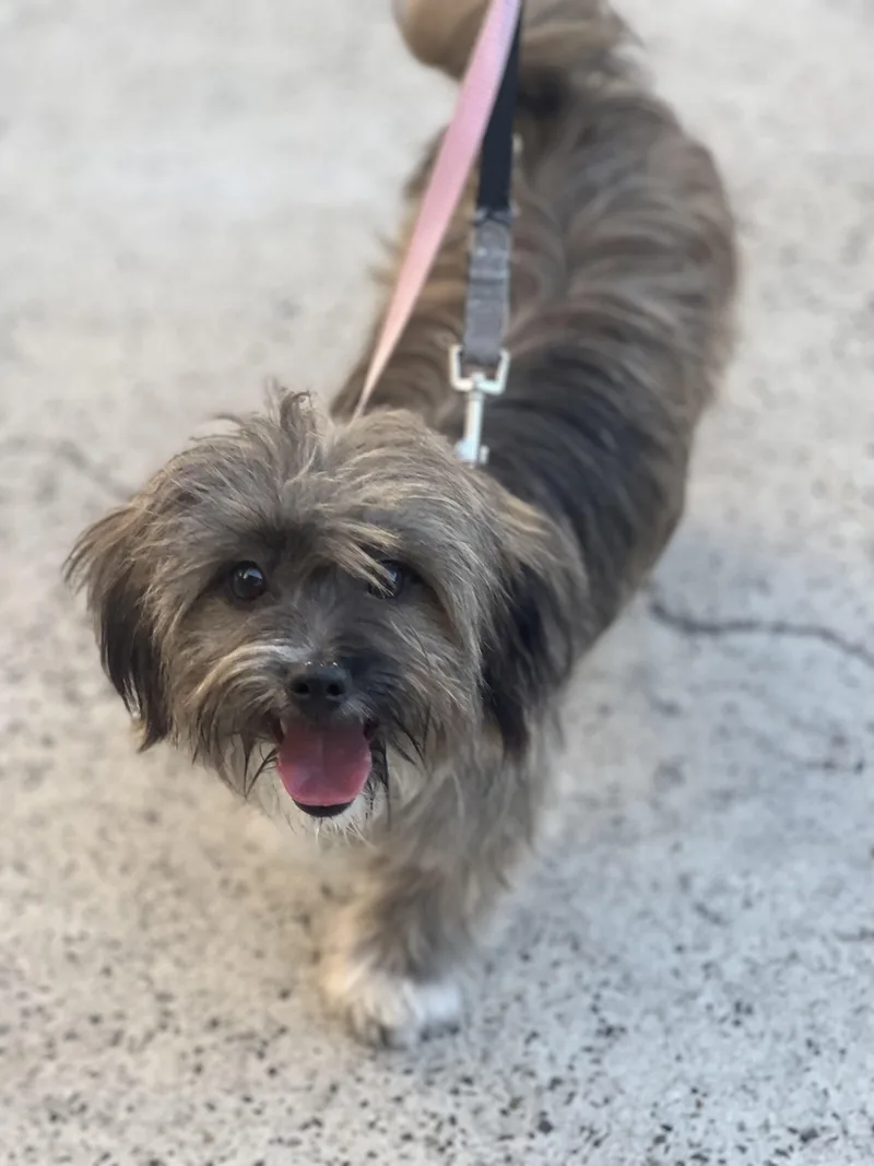 Jax