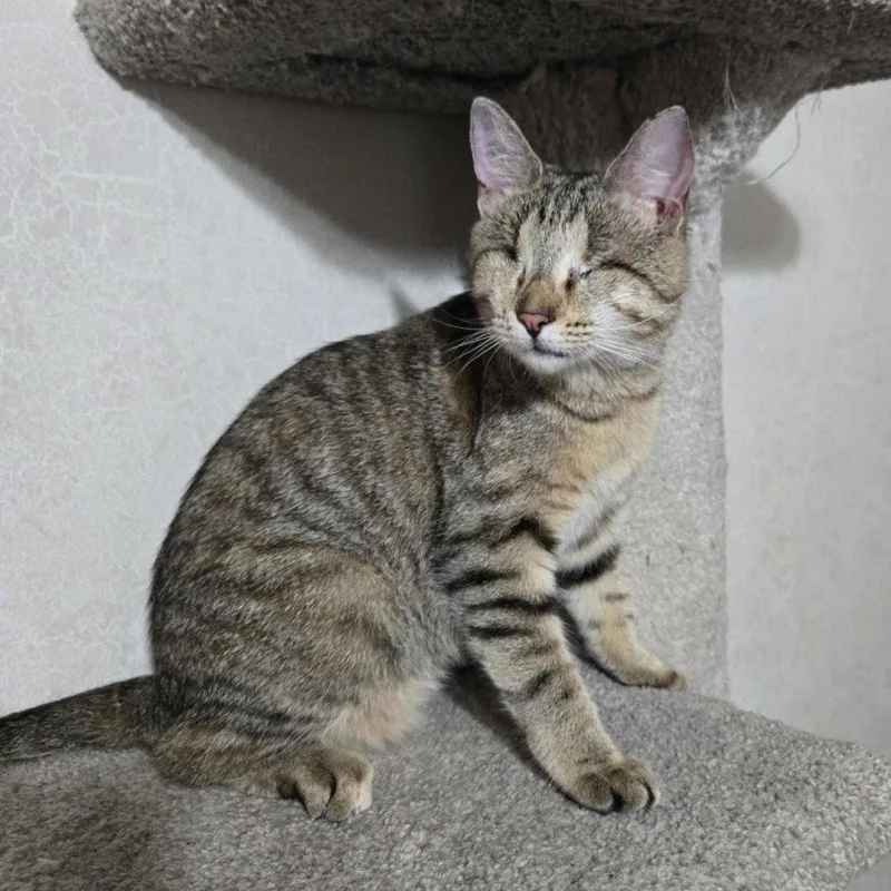 Billie Eyeless thumbnail 2