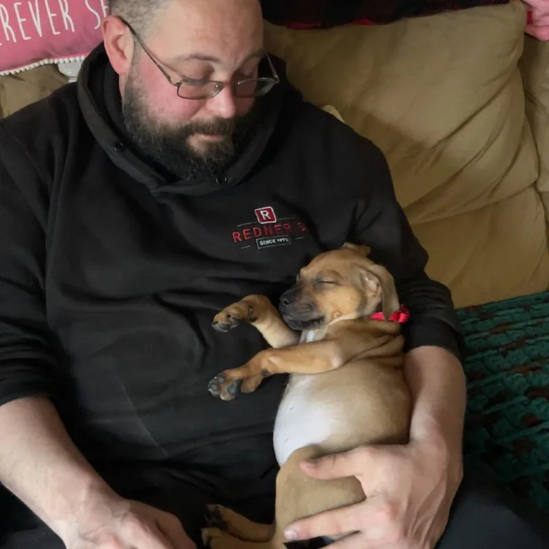 Annie thumbnail 2