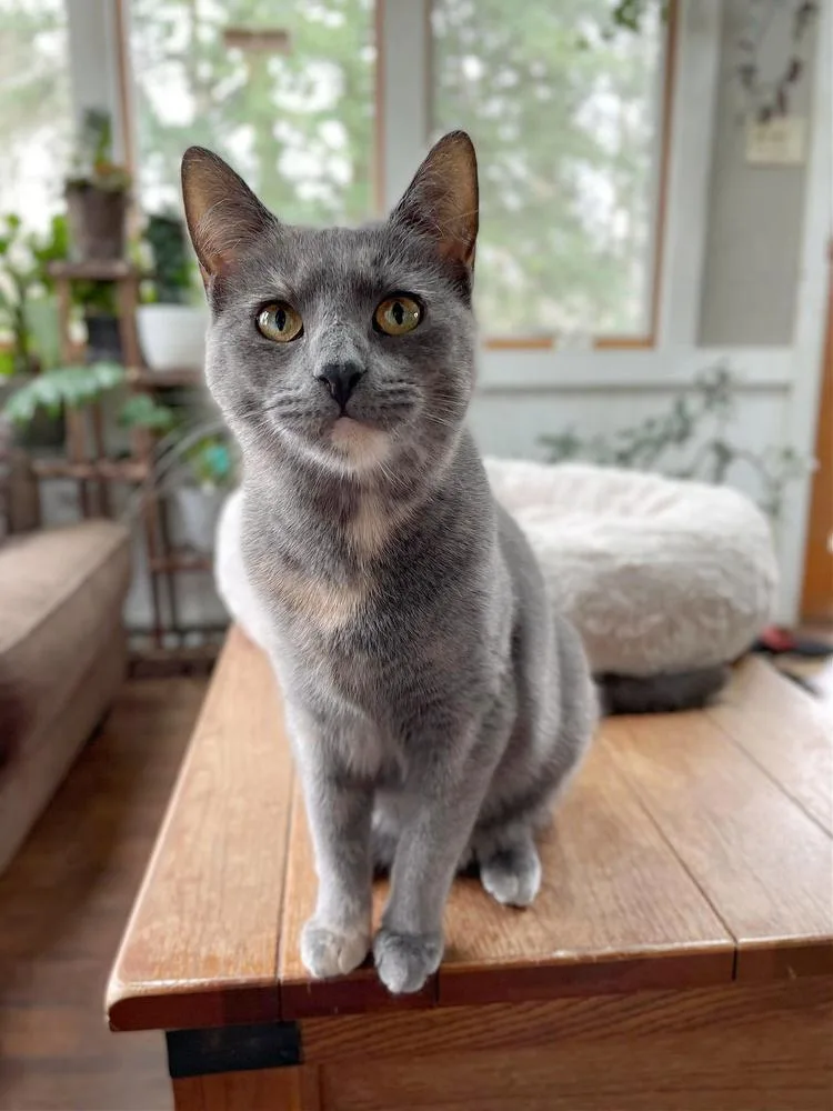 Mollie Orchard thumbnail 3