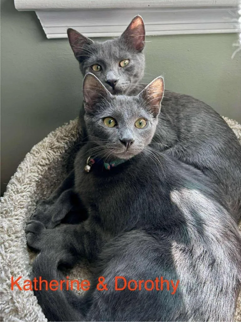 Katherine Johnson  Dorothy thumbnail 2