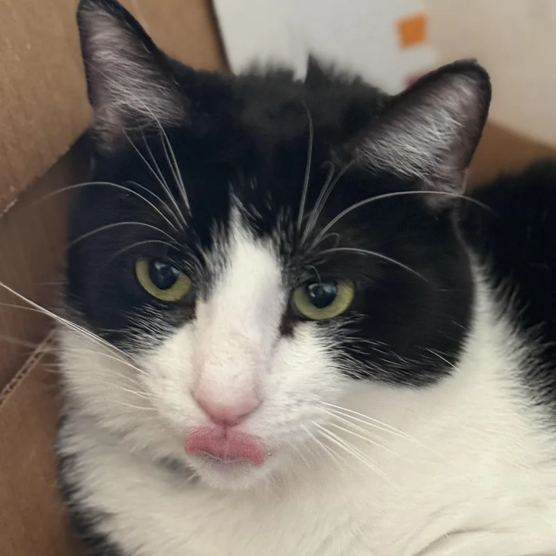 Mariah Purry thumbnail 2