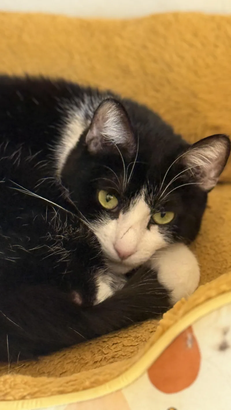 Mariah Purry thumbnail 3