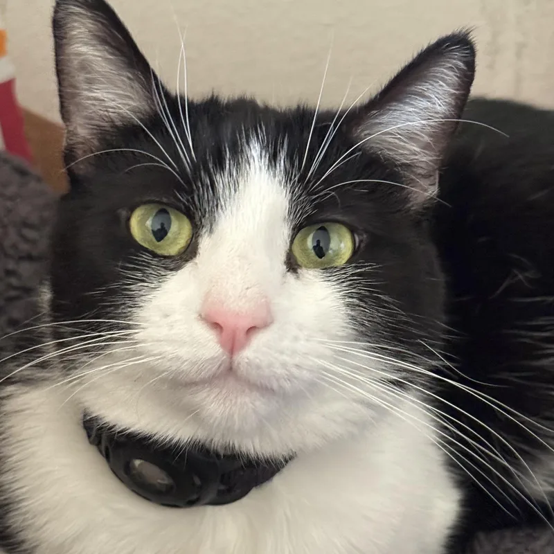 Mariah Purry thumbnail 4