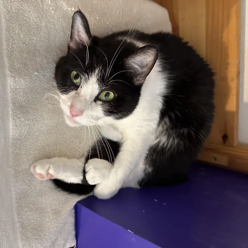 Mariah Purry thumbnail 5