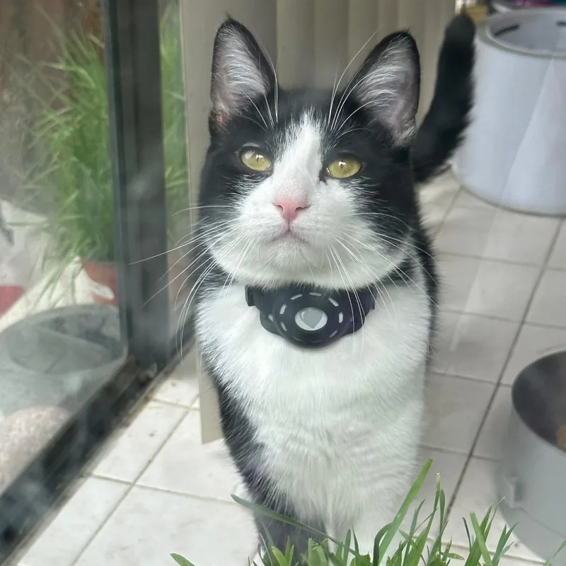 Mariah Purry thumbnail 6