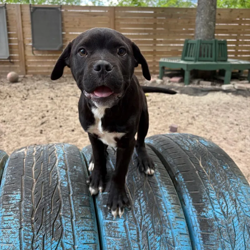 Radiohead thumbnail 2