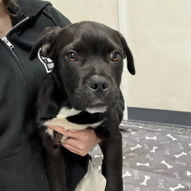 Radiohead thumbnail 3