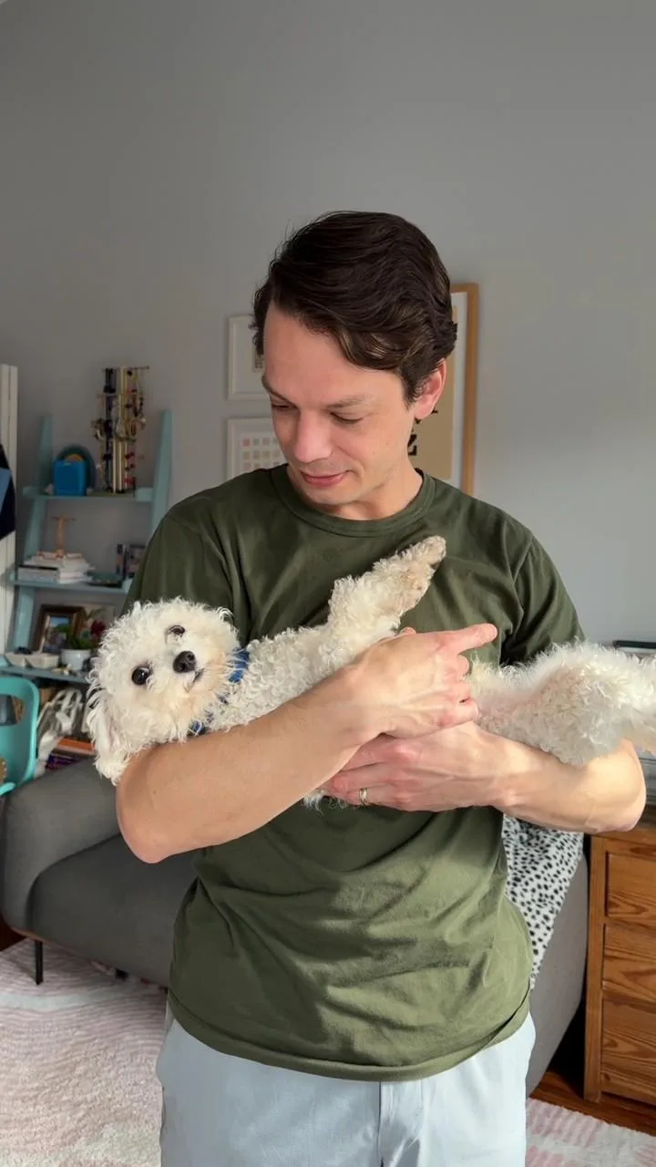 An adult small-sized male White / Cream Mixed Breed dog named Mohair for adoption in Alexandria, VA