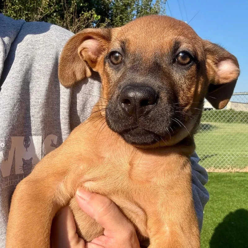 Zeke