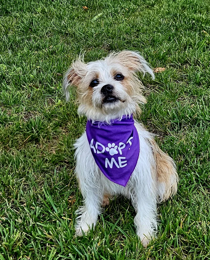 Sammie