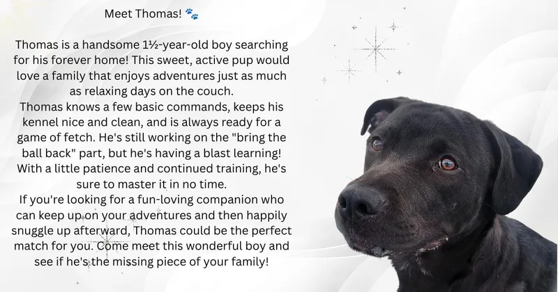 Thomas