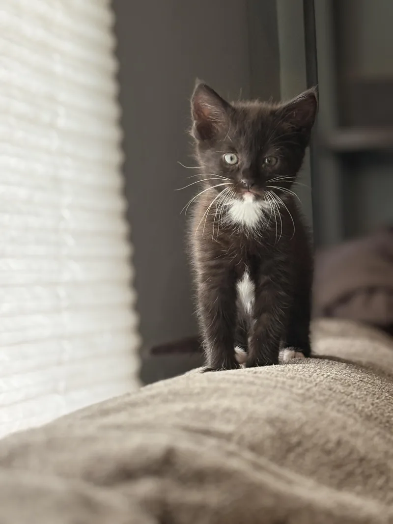 Bootsie thumbnail 2