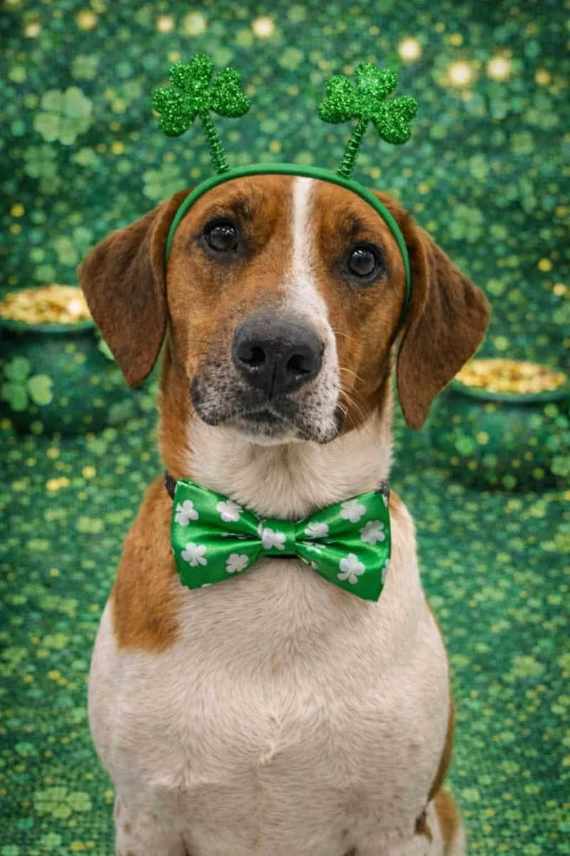 Kryptonite thumbnail 2