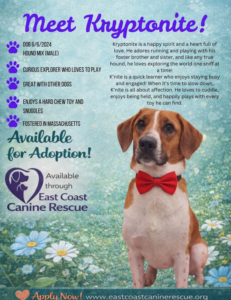 Kryptonite thumbnail 3