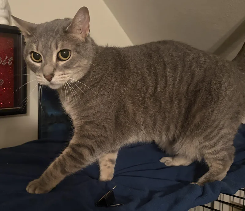 Millie thumbnail 2