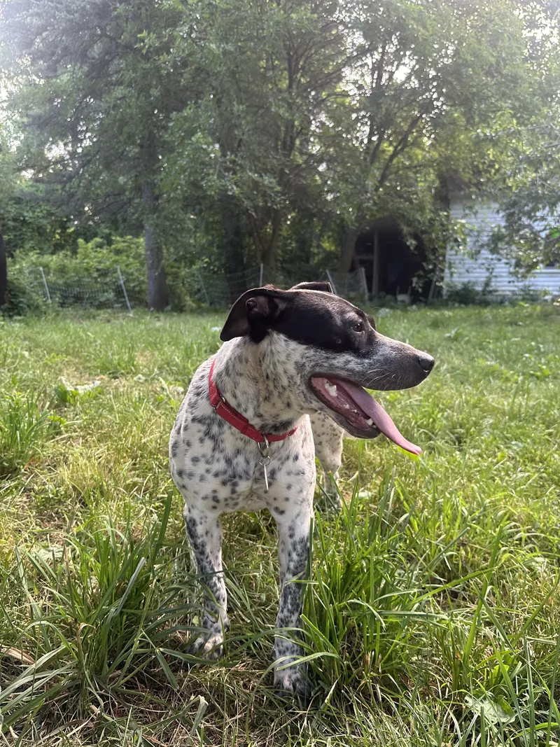 Dottie thumbnail 2