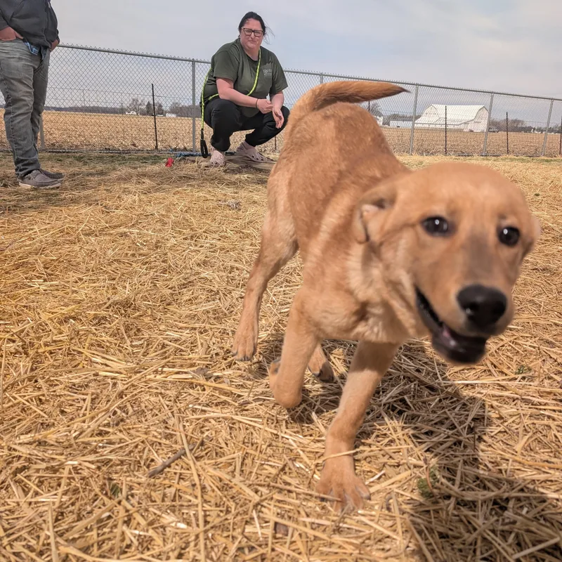 Michelangelo Aka Mikey thumbnail 3