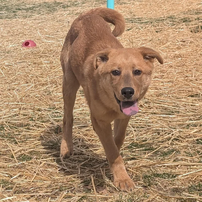 Michelangelo Aka Mikey thumbnail 5