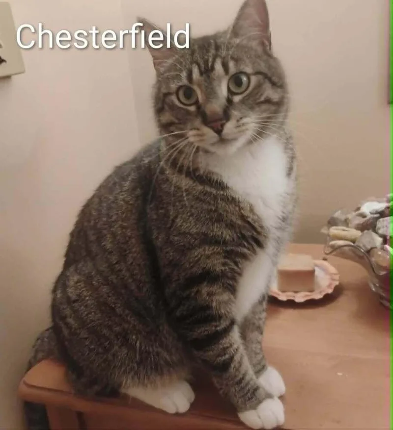 Chesterfield