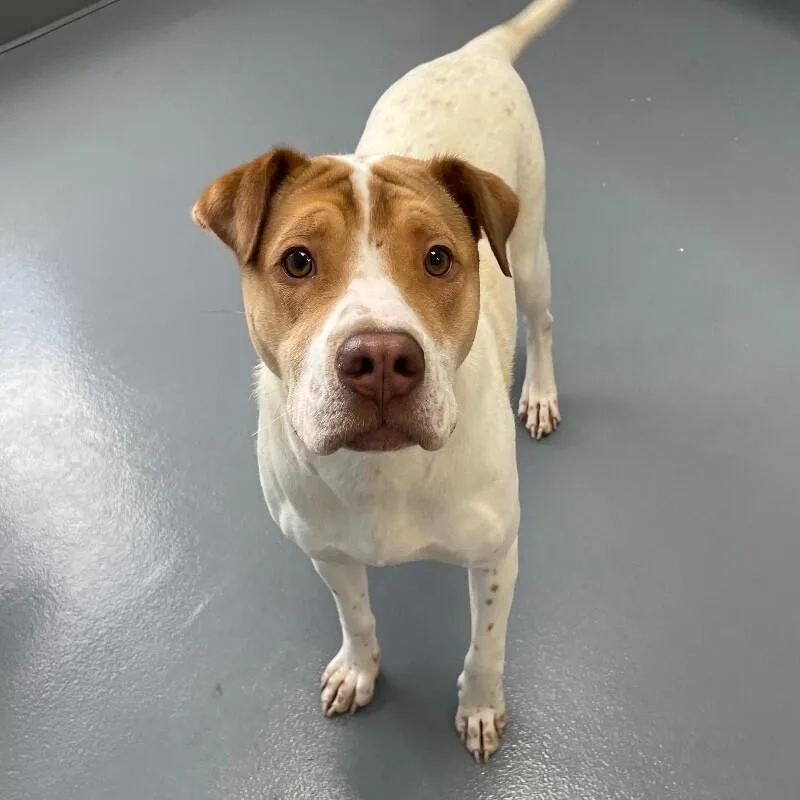 Survivor thumbnail 2