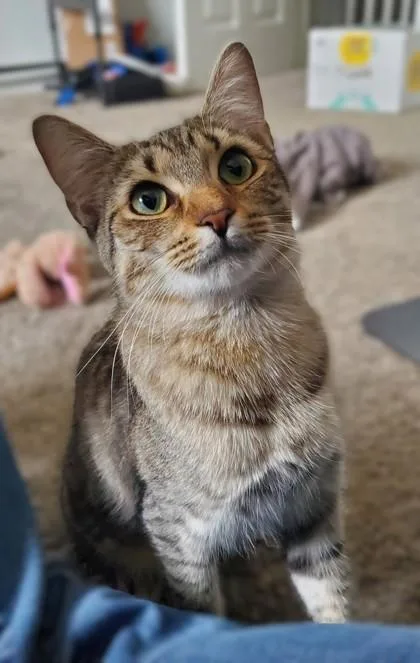 Stephanie thumbnail 2