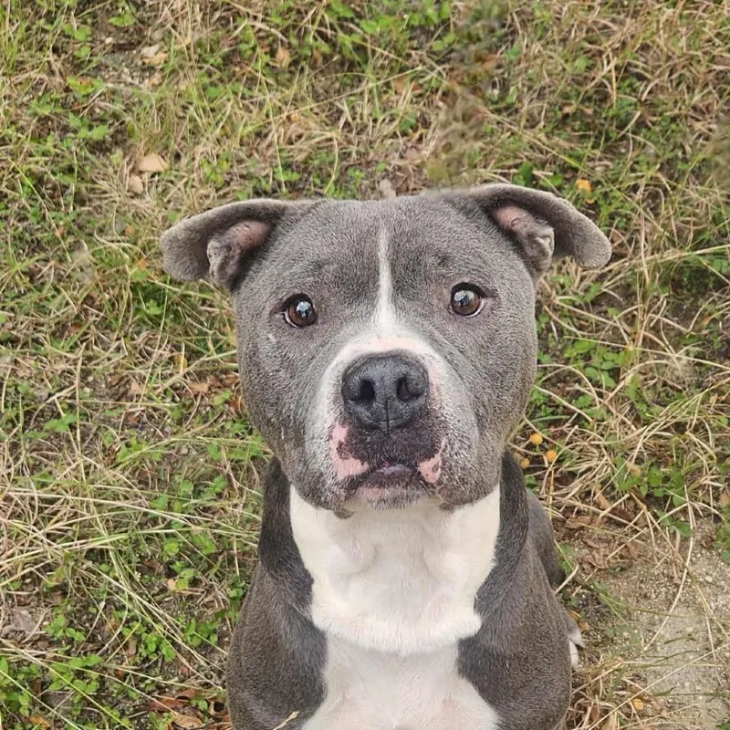 Bubba Gump Jum thumbnail 3