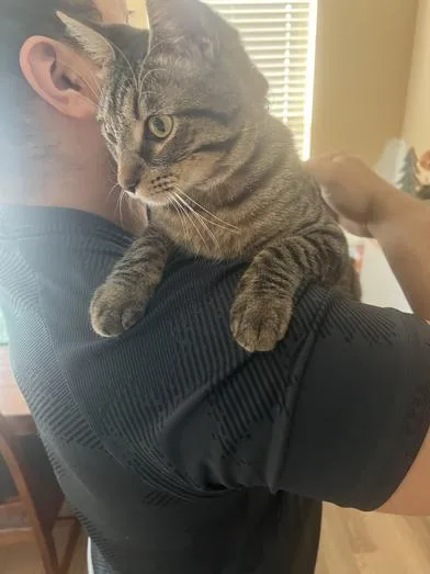 Napoleon thumbnail 5