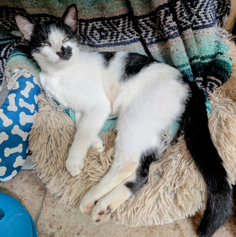 Robby S. thumbnail 2