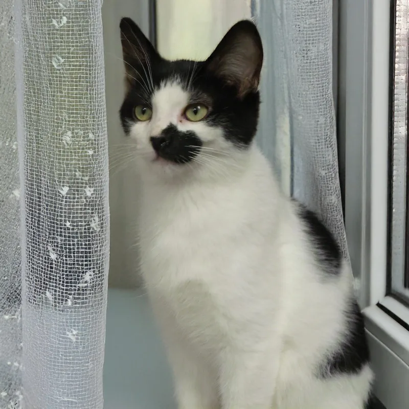 Robby S. thumbnail 3