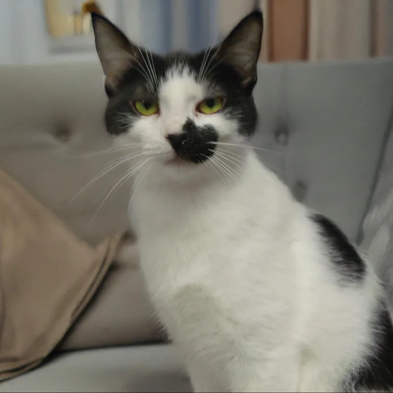 Robby S. thumbnail 4