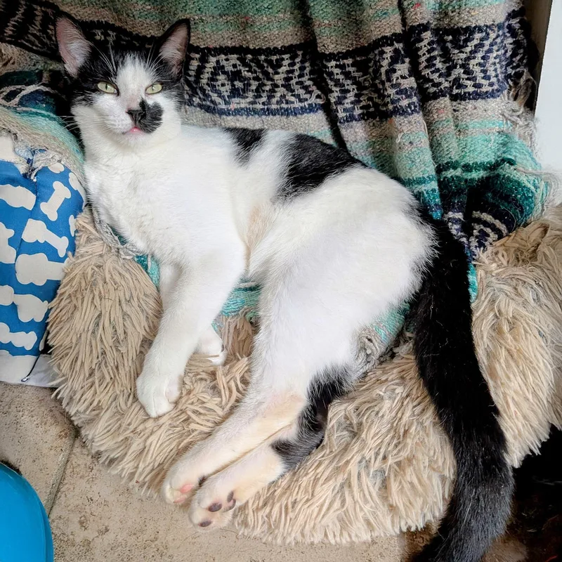 Robby S. thumbnail 5