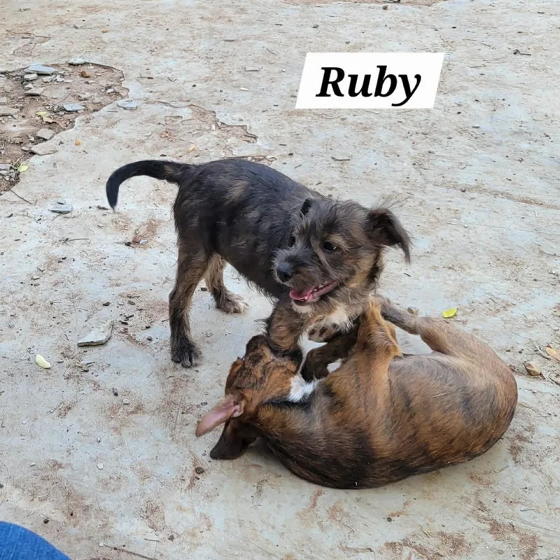 Rubylou thumbnail 2