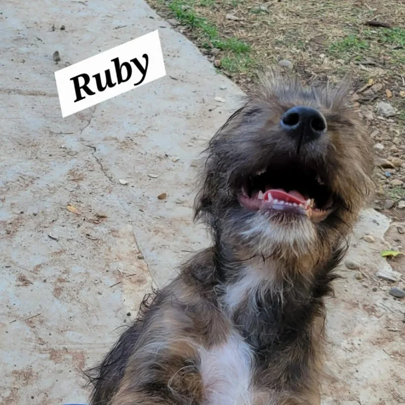Rubylou thumbnail 3