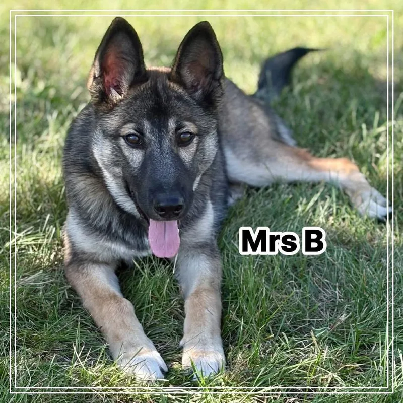 Mrs. B thumbnail 5